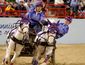 CART HORSE